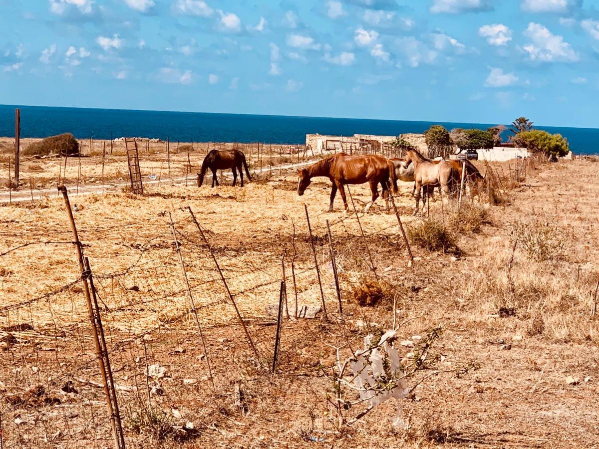 Appartamento Il Pomodoro San Vito Lo Capo Bagian luar foto