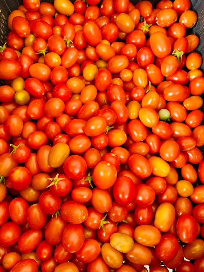 Appartamento Il Pomodoro San Vito Lo Capo Bagian luar foto
